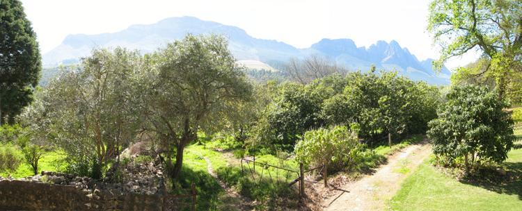 Kierie Kwaak Self Catering Villa Stellenbosch Exterior foto